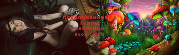твердый Белокуриха