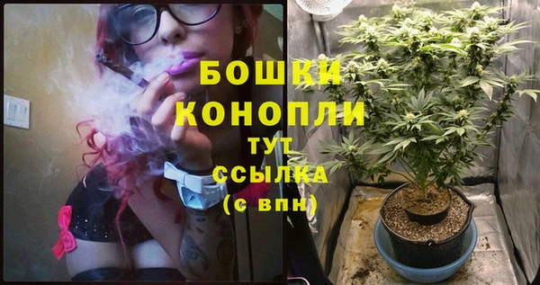 твердый Белокуриха